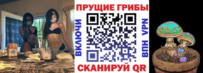 Псилоцибиновые грибы Cubensis  Заозёрный 